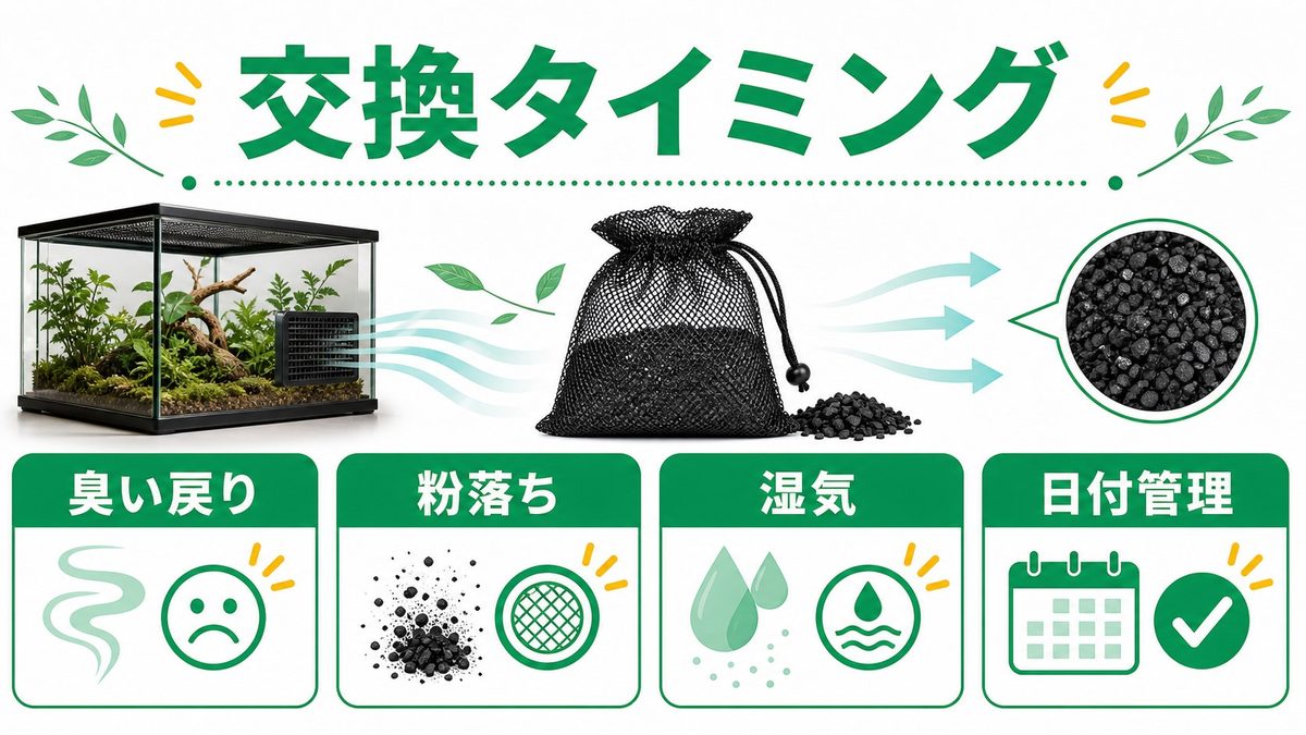 アリの採取と培養方法の要点をまとめたカメレオン・爬虫類飼育インフォグラフィック