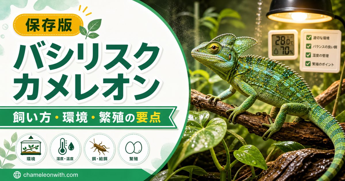 バシリスクカメレオンの飼い方・育て方を徹底解説！生息地・繁殖・注意点についても網羅！の要点を伝えるカメレオン・爬虫類記事アイキャッチ画像