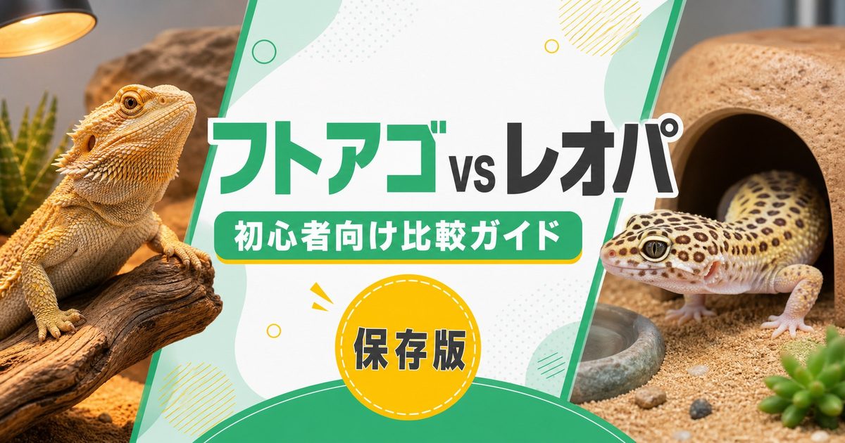フトアゴヒゲトカゲvsレオパードゲッコー初心者向け比較！飼いやすいのはどっち？の要点を伝えるカメレオン・爬虫類記事アイキャッチ画像