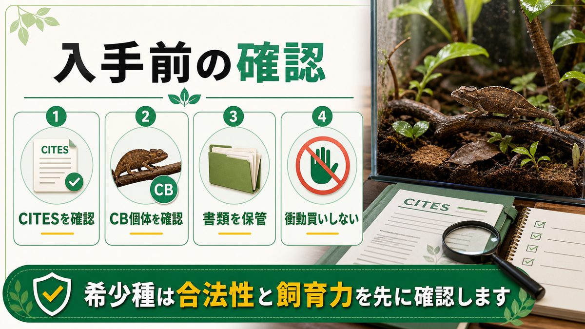 CITES附属書Ⅰとは？入手経路と注意点の要点をまとめたカメレオン・爬虫類飼育インフォグラフィック