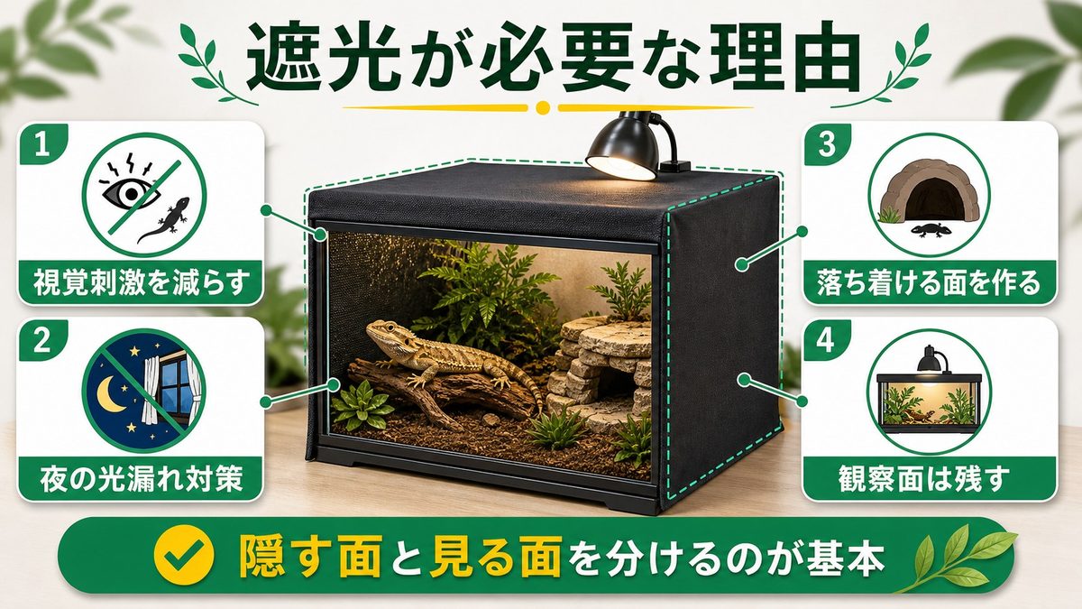 遮光カバーが必要な理由|爬虫類とストレスの深い関係の要点をまとめたカメレオン・爬虫類飼育インフォグラフィック