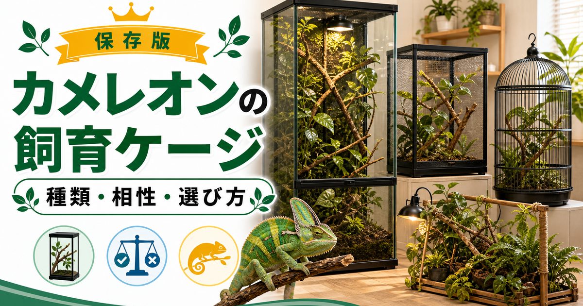 おすすめ】カメレオンの飼育ケージ13種類を徹底解説！メリット
