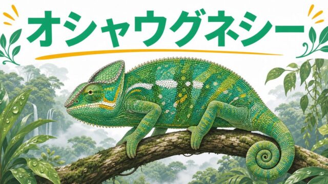 【オシャウグネシーカメレオン】Calumma oshaughnessyi の特徴・生態・飼育方法を徹底解説！マダガスカル東部の大型希少種の要点を伝えるカメレオン・爬虫類記事アイキャッチ画像