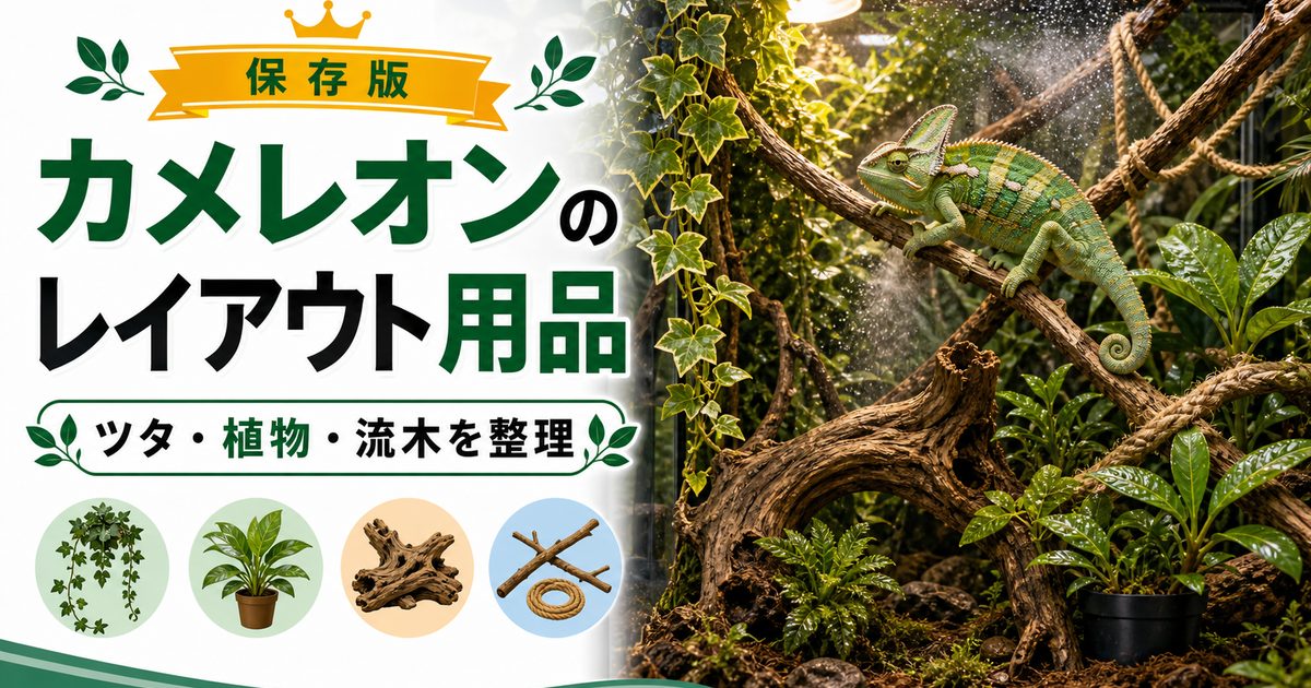 【カメレオンとアクセサリー】人工ツタ・観葉植物・流木など飼育レイアウトに使えるアイテム17選！の要点を伝えるカメレオン・爬虫類記事アイキャッチ画像