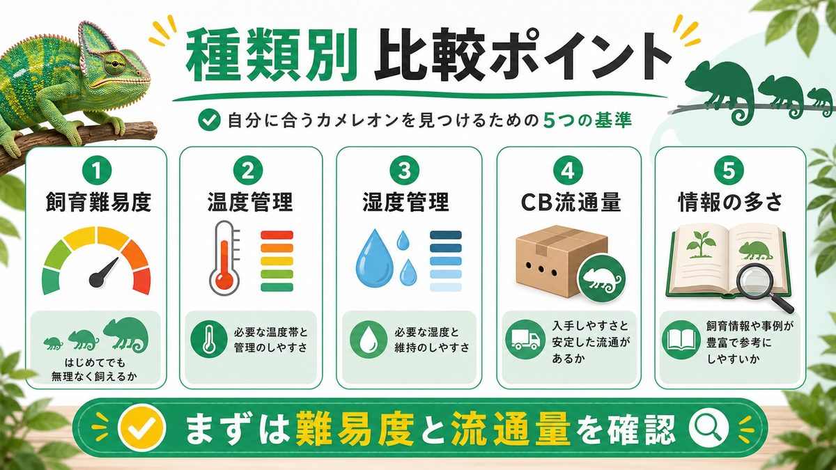 種類別 飼育難易度・値段・温湿度 比較表の要点をまとめたカメレオン・爬虫類飼育インフォグラフィック