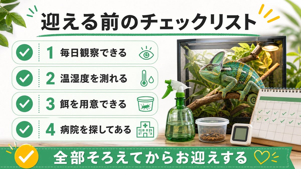 カメレオンを選ぶ前のチェックリストの要点をまとめたカメレオン・爬虫類飼育インフォグラフィック