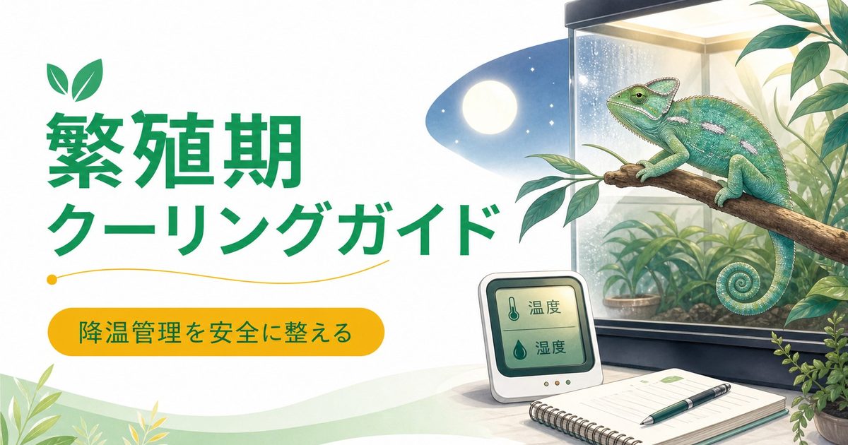 カメレオンの繁殖期クーリング完全ガイド！降温管理・クールダウンの方法・繁殖スイッチの入れ方を徹底解説の要点を伝えるカメレオン・爬虫類記事アイキャッチ画像