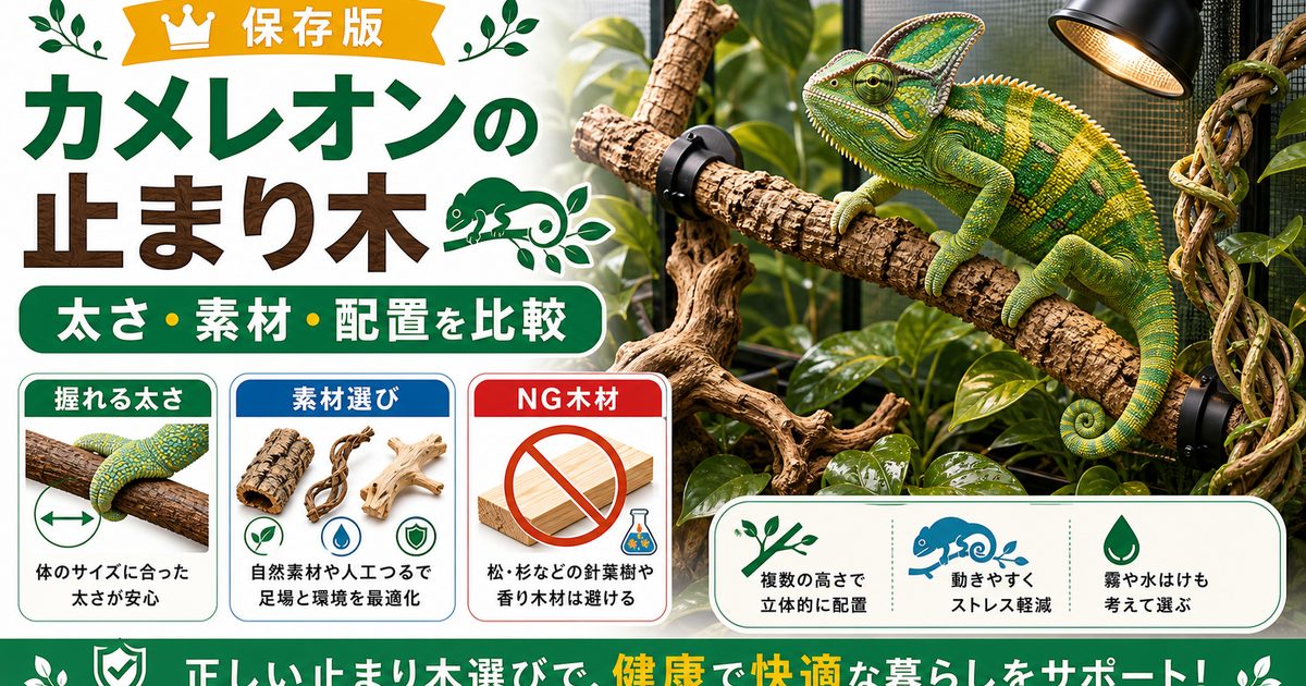 【選び方ガイド】カメレオン用止まり木おすすめ徹底比較！コルク・人工ツタ・流木の要点を伝えるカメレオン・爬虫類記事アイキャッチ画像