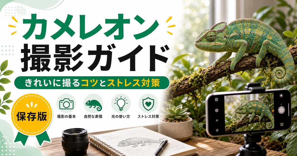 カメレオンの写真撮影完全ガイド！きれいに撮るコツ・おすすめカメラ・スマホ接写・ストレスをかけない撮影方法を徹底解説の要点を伝えるカメレオン・爬虫類記事アイキャッチ画像