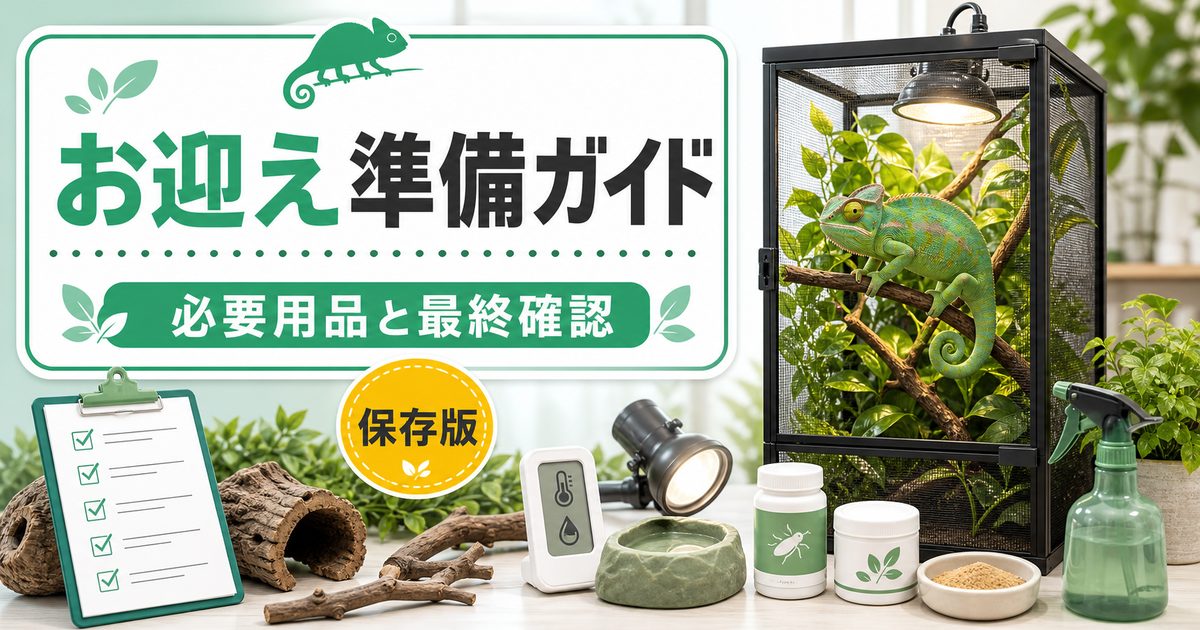 カメレオンを飼いたい！初心者向けスタートアップ完全ガイド！必要なもの・費用・お迎え準備チェックリストの要点を伝えるカメレオン・爬虫類記事アイキャッチ画像