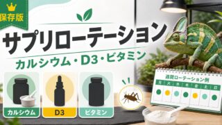 カメレオンのサプリメントローテーション完全ガイド！カルシウム・D3・マルチビタミンの頻度・量・組み合わせを徹底解説の要点を伝えるカメレオン・爬虫類記事アイキャッチ画像