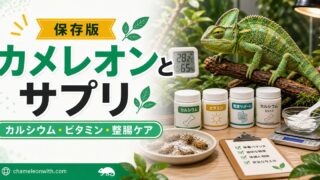 【カメレオンとサプリメント】本当に必要？サプリの特徴や与え方、カルシウム・ビタミン・整腸剤それぞれ商品をご紹介！の要点を伝えるカメレオン・爬虫類記事アイキャッチ画像