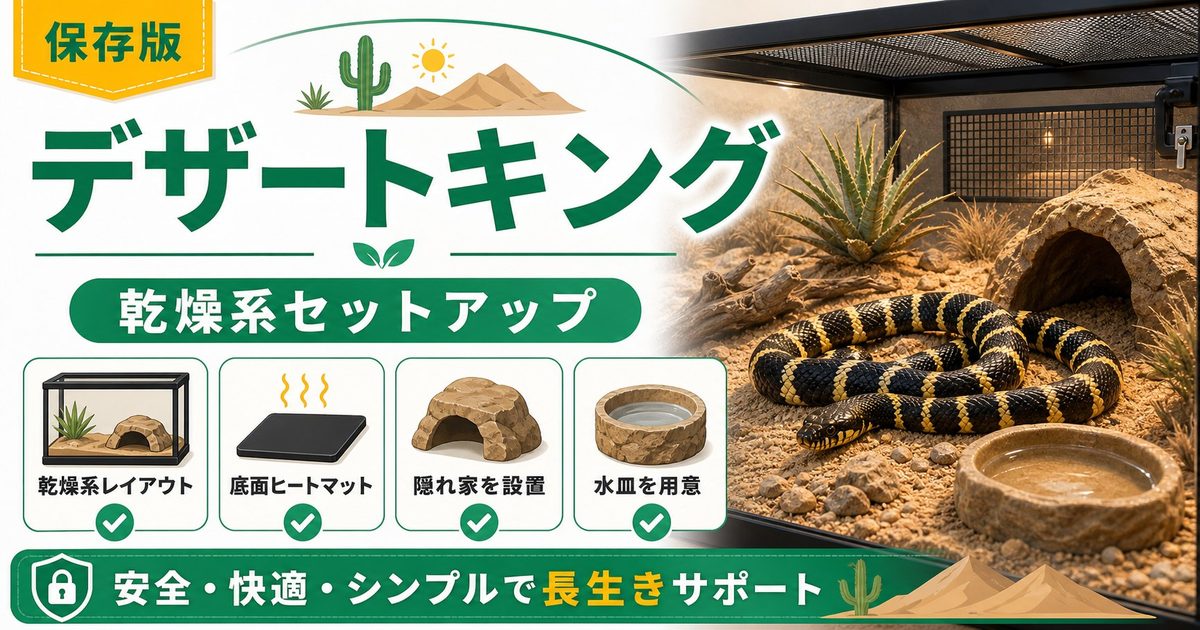 デザートキングスネーク（Lampropeltis splendida）飼育完全ガイド！北米砂漠地帯のキングスネークの特徴・ケージ・餌・モルフを徹底解説の要点を伝えるカメレオン・爬虫類記事アイキャッチ画像