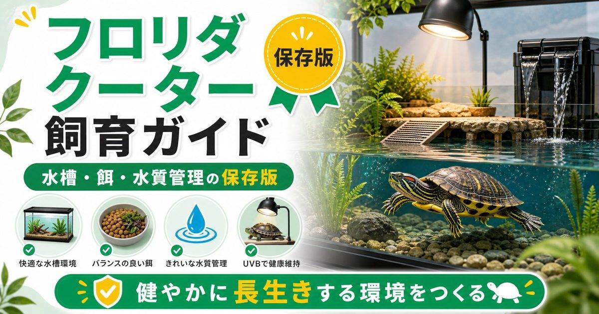 フロリダクーター（Pseudemys floridana）飼育完全ガイド！北米産大型草食系水棲ガメの特徴・水槽・餌・水質管理を徹底解説の要点を伝えるカメレオン・爬虫類記事アイキャッチ画像