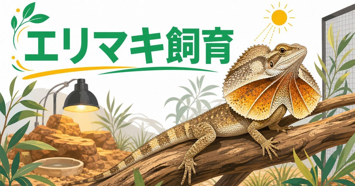 【エリマキトカゲ】フリルを広げる迫力のオーストラリア産トカゲの飼い方完全ガイド！の要点を伝えるカメレオン・爬虫類記事アイキャッチ画像