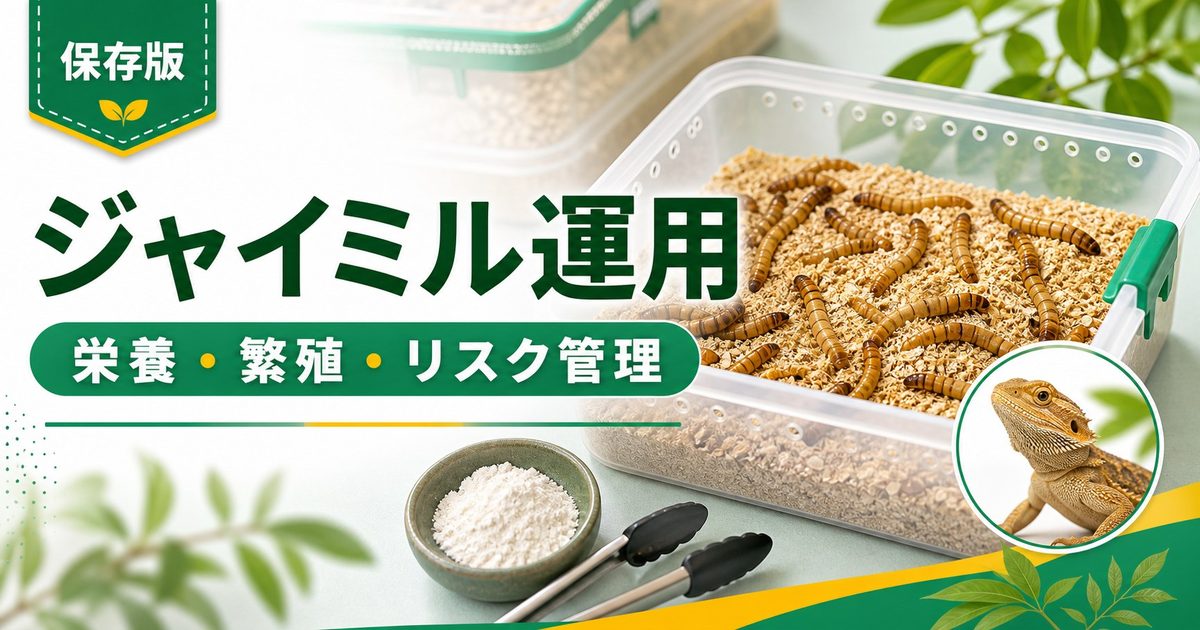 ジャイアントミルワーム（ジャイミル）完全ガイド｜栄養価・飼育・繁殖・与え方とミルワームとの違いの要点を伝えるカメレオン・爬虫類記事アイキャッチ画像