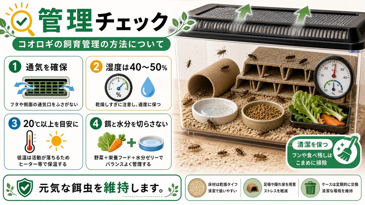 コオロギの飼育管理の方法についての要点をまとめたカメレオン・爬虫類飼育インフォグラフィック