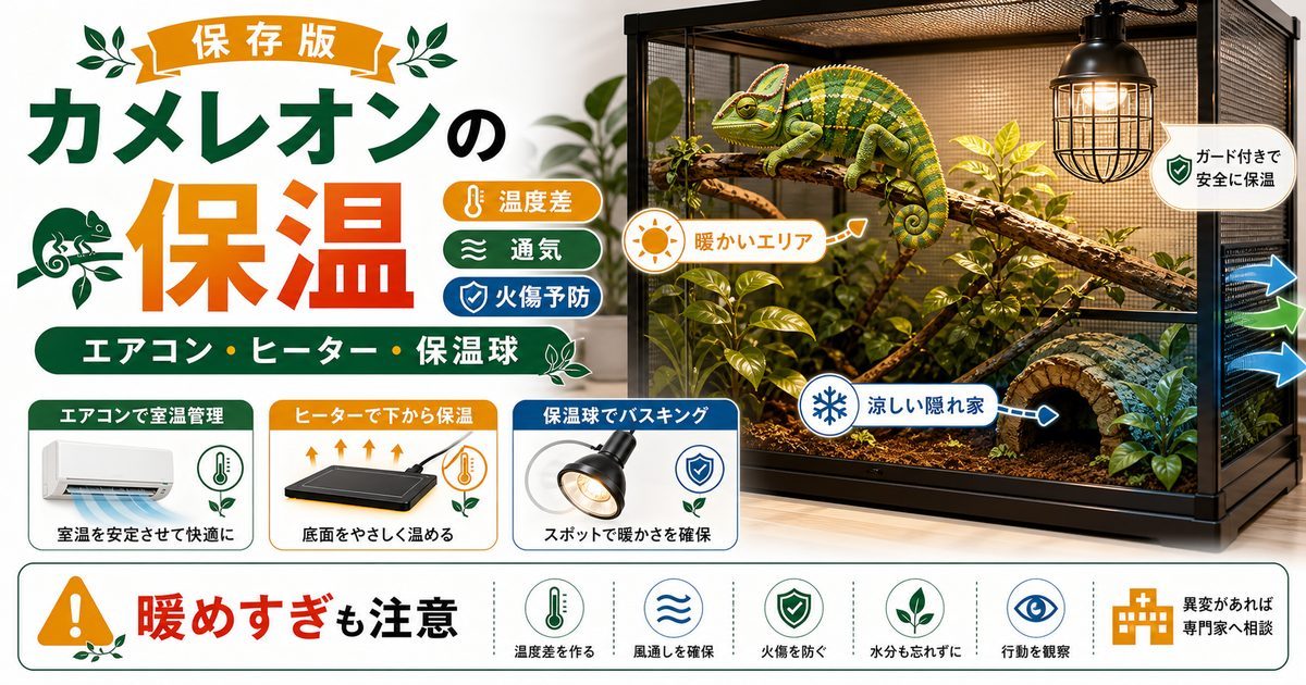【カメレオンと保温】エアコン、ヒーター、保温球による保温のメリット・デメリットをご紹介！の要点を伝えるカメレオン・爬虫類記事アイキャッチ画像