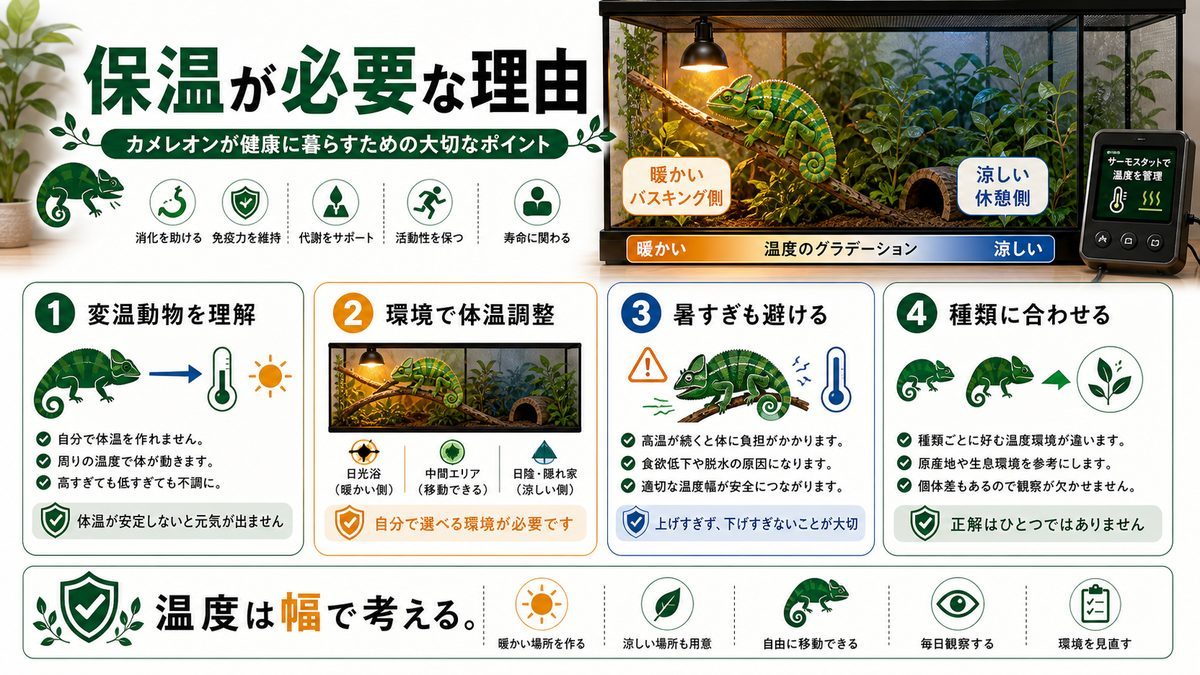 保温ってどうして必要なの？の要点をまとめたカメレオン・爬虫類飼育インフォグラフィック