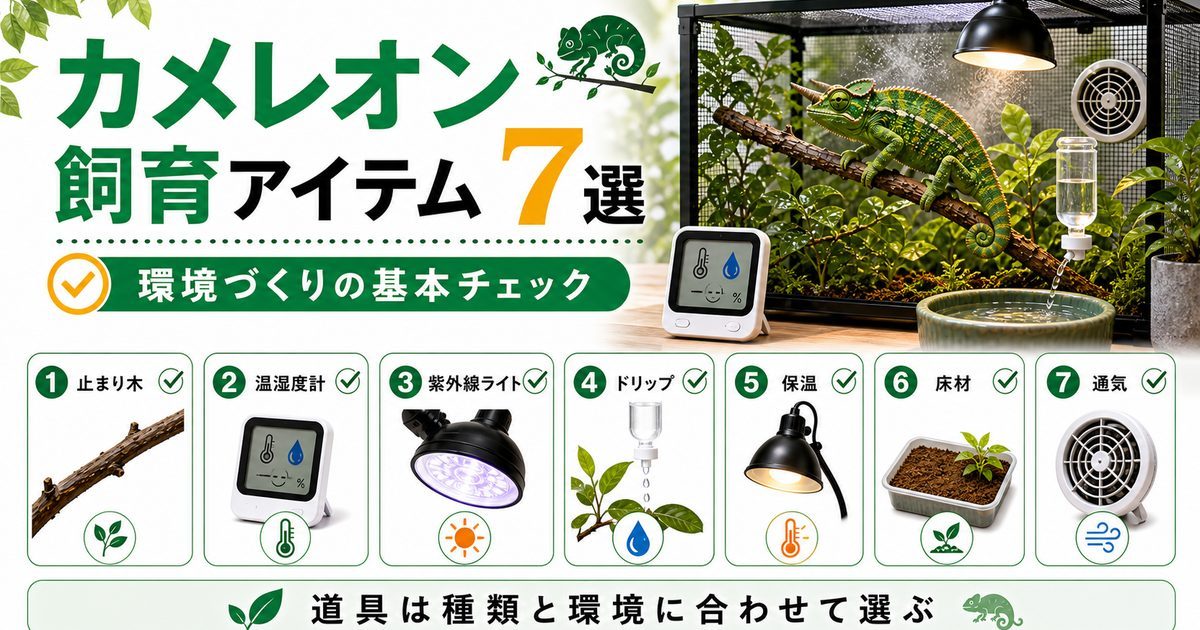 【飼育には何が必要？】カメレオン飼育に必要なアイテム7選を厳選して紹介！【紫外線ライト・止まり木】の要点を伝えるカメレオン・爬虫類記事アイキャッチ画像