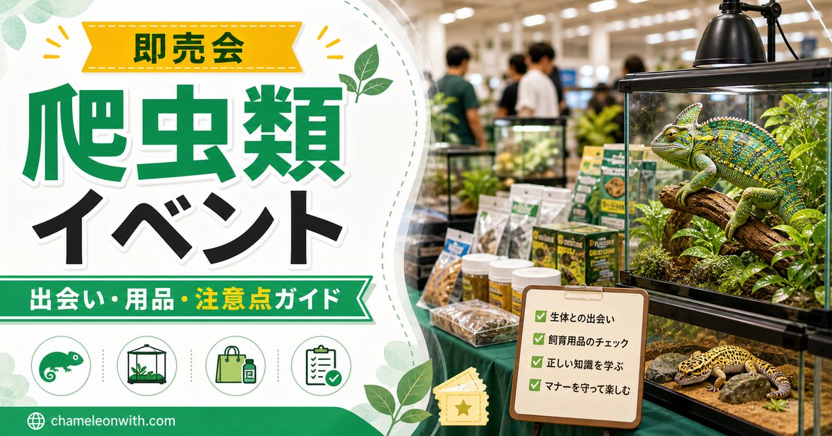 【即売会】カメレオン・爬虫類のイベントはレアな生体に出会える可能性が！？の要点を伝えるカメレオン・爬虫類記事アイキャッチ画像