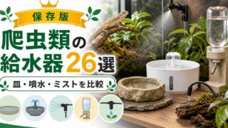 【爬虫類にオススメの給水器26選】ディッシュ・自動噴水式・ミスト発生器・ディスペンサーなど特徴・機能をそれぞれ解説！の要点を伝えるカメレオン・爬虫類記事アイキャッチ画像