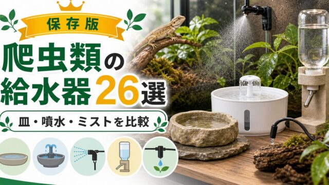 【爬虫類にオススメの給水器26選】ディッシュ・自動噴水式・ミスト発生器・ディスペンサーなど特徴・機能をそれぞれ解説！の要点を伝えるカメレオン・爬虫類記事アイキャッチ画像