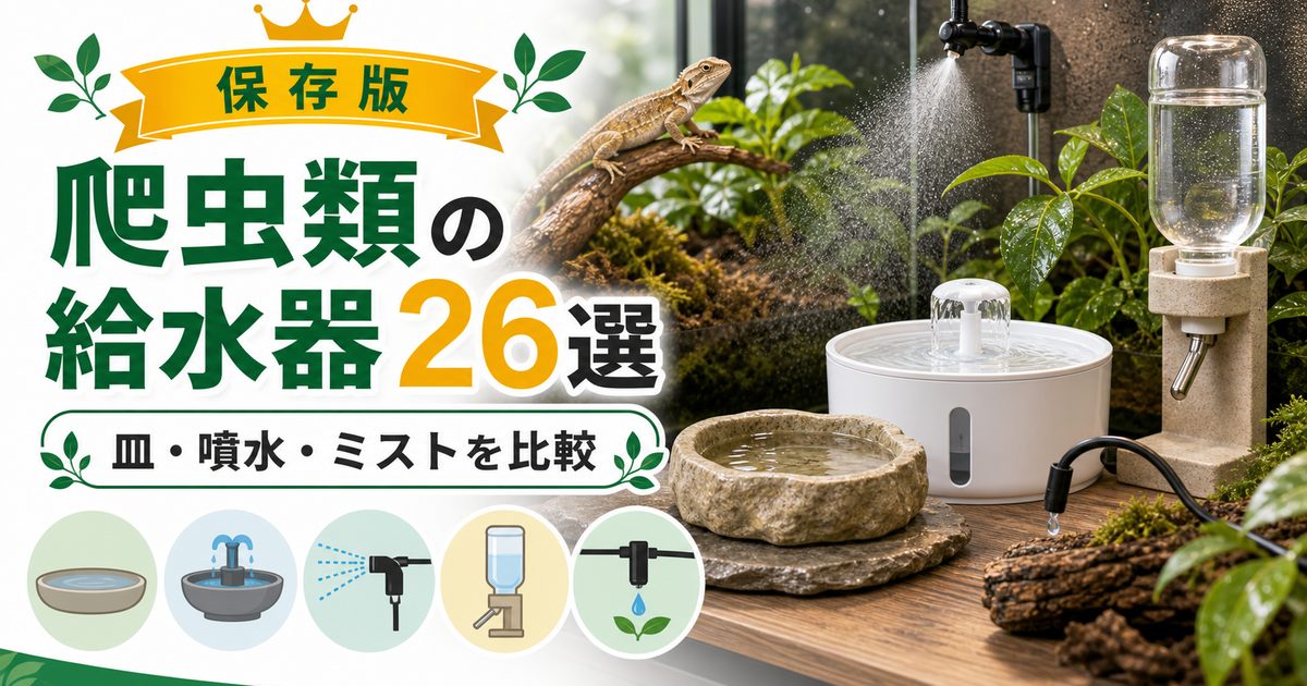 【爬虫類にオススメの給水器26選】ディッシュ・自動噴水式・ミスト発生器・ディスペンサーなど特徴・機能をそれぞれ解説！の要点を伝えるカメレオン・爬虫類記事アイキャッチ画像