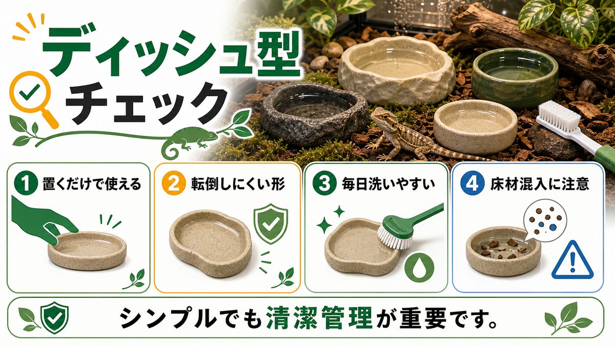 オススメの給水器〜ディッシュ編〜の要点をまとめたカメレオン・爬虫類飼育インフォグラフィック