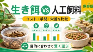 爬虫類の生き餌vs人工飼料どっちがいい？コスト・手間・栄養を6軸比較の要点を伝えるカメレオン・爬虫類記事アイキャッチ画像