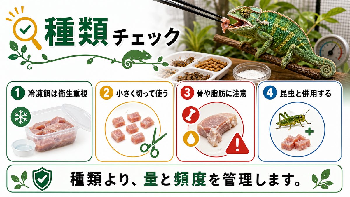 カメレオンに与えられるお肉の種類についての要点をまとめたカメレオン・爬虫類飼育インフォグラフィック