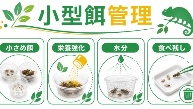 爬虫類飼育の活性炭フィルター完全ガイド｜臭い・有害ガス・アンモニアを吸着除去する脱臭の仕組みと活用法の要点を伝えるカメレオン・爬虫類記事アイキャッチ画像