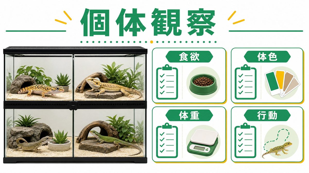 活性炭の種類と比較｜形状別の特徴と適用シーンの要点をまとめたカメレオン・爬虫類飼育インフォグラフィック