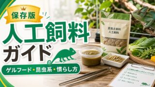 爬虫類・カメレオン用人工飼料完全ガイド！レパシー・ゲルフード・昆虫系フードの種類・使い方・給餌テクニックを徹底解説の要点を伝えるカメレオン・爬虫類記事アイキャッチ画像