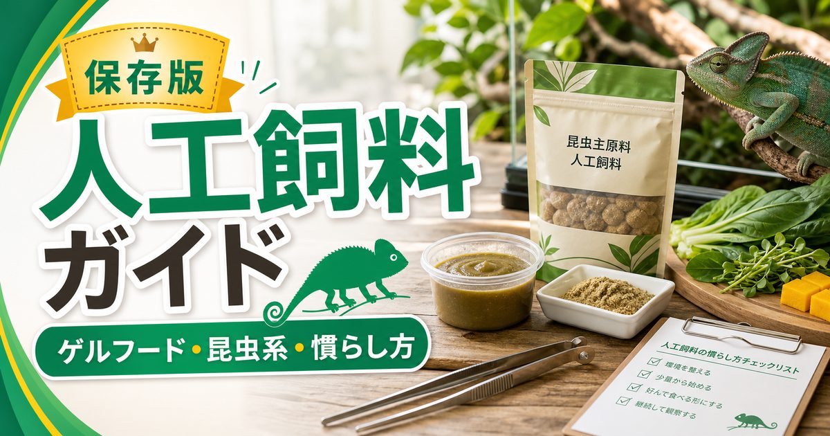 爬虫類・カメレオン用人工飼料完全ガイド！レパシー・ゲルフード・昆虫系フードの種類・使い方・給餌テクニックを徹底解説の要点を伝えるカメレオン・爬虫類記事アイキャッチ画像