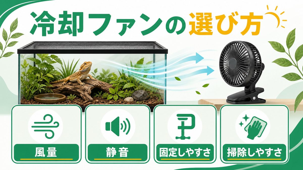 🌀 冷却ファンの種類と選び方——USB静音ファン比較の要点をまとめたカメレオン・爬虫類飼育インフォグラフィック