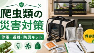 爬虫類の災害避難準備完全ガイド｜地震・台風・停電に備える防災対策と緊急持ち出しキットの要点を伝えるカメレオン・爬虫類記事アイキャッチ画像