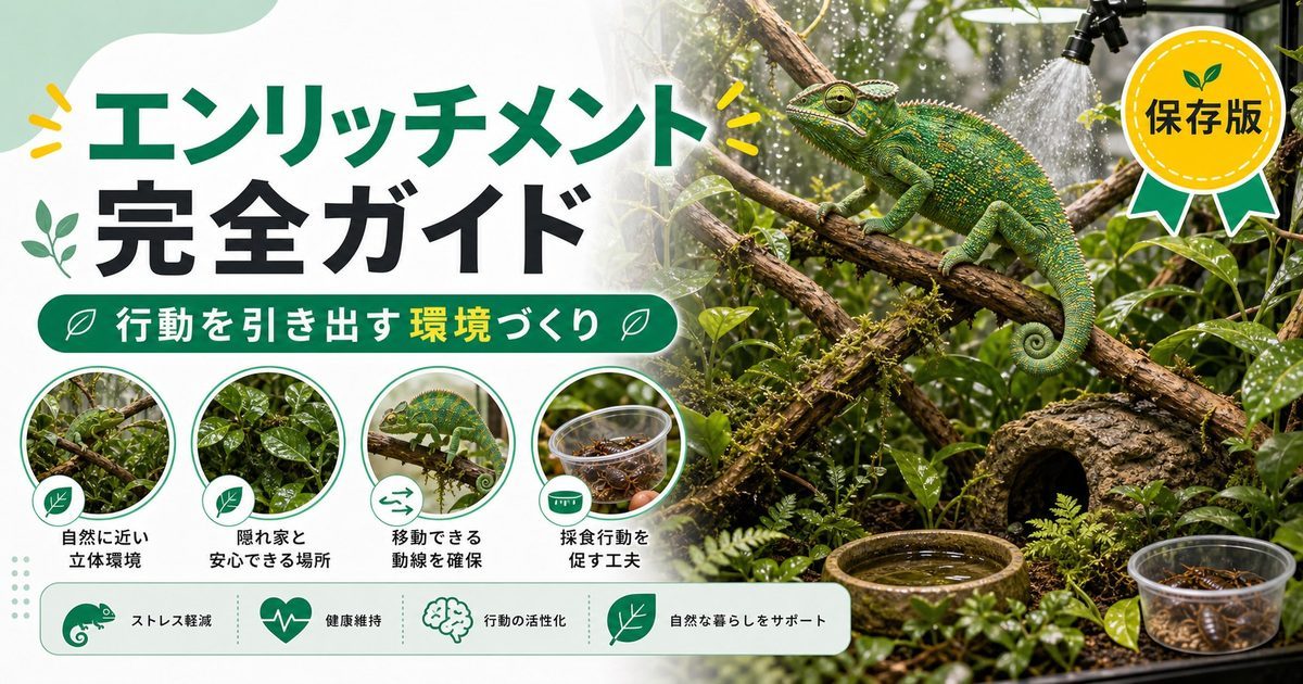 爬虫類・カメレオン用エンリッチメント完全ガイド！ストレス軽減・行動活性化グッズの選び方と使い方を徹底解説の要点を伝えるカメレオン・爬虫類記事アイキャッチ画像