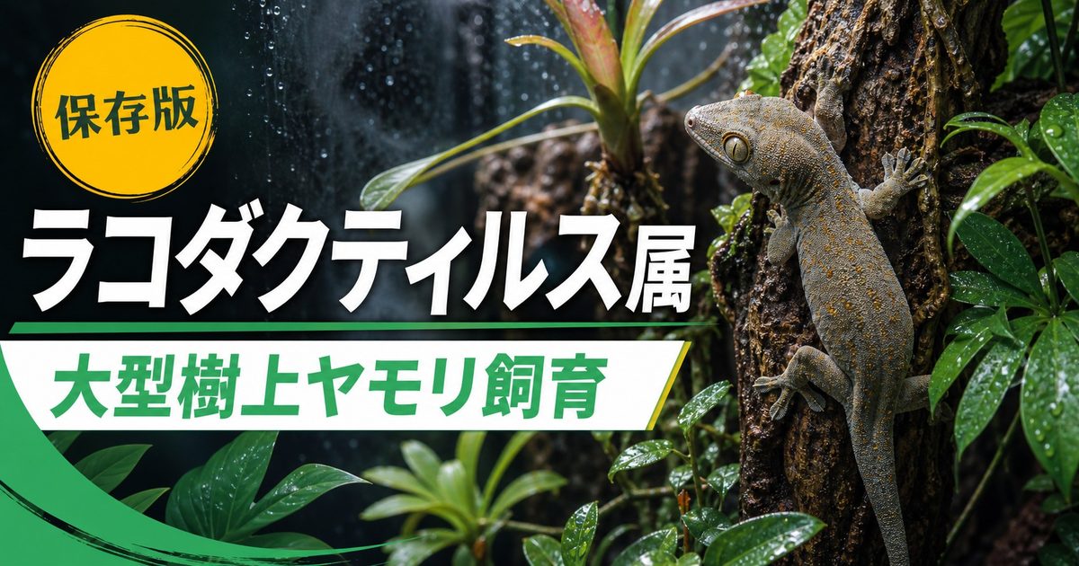 爬虫類の多頭・群生飼育完全ガイド｜同居可能な種・不可能な種・成功させるための環境設計と注意点の要点を伝えるカメレオン・爬虫類記事アイキャッチ画像