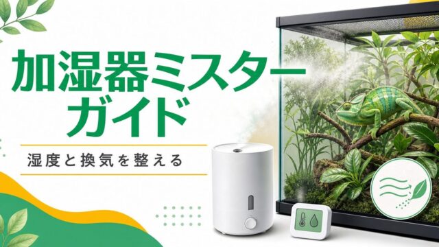 爬虫類・カメレオン用加湿器・超音波ミスター完全ガイド！種類別比較・選び方・タイマー設定・おすすめ商品を徹底解説の要点を伝えるカメレオン・爬虫類記事アイキャッチ画像