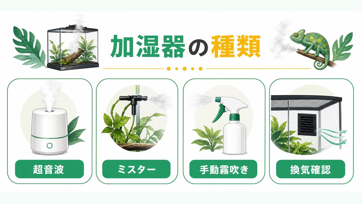 爬虫類ケージの加湿器：4つの種類と仕組みを徹底比較の要点をまとめたカメレオン・爬虫類飼育インフォグラフィック