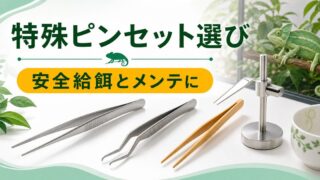 爬虫類のマグネット・長尺ピンセット完全ガイド！給餌・メンテに使える特殊ピンセットの選び方を徹底解説の要点を伝えるカメレオン・爬虫類記事アイキャッチ画像