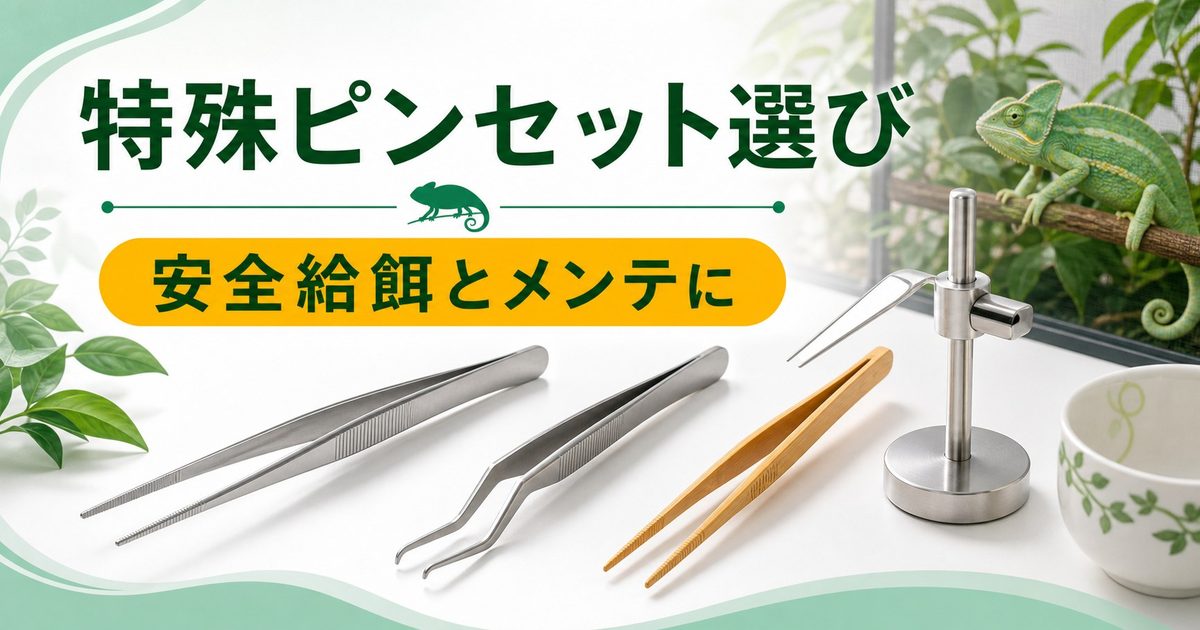 爬虫類のマグネット・長尺ピンセット完全ガイド！給餌・メンテに使える特殊ピンセットの選び方を徹底解説の要点を伝えるカメレオン・爬虫類記事アイキャッチ画像