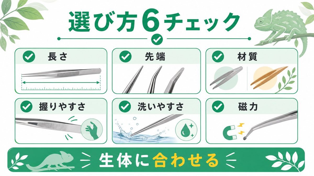 ピンセットの選び方——失敗しない6つのチェックポイントの要点をまとめたカメレオン・爬虫類飼育インフォグラフィック
