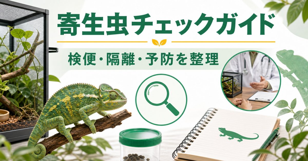 爬虫類・カメレオンの寄生虫完全ガイド！ダニ・回虫・鞭毛虫の症状・駆虫方法・予防策を徹底解説の要点を伝えるカメレオン・爬虫類記事アイキャッチ画像