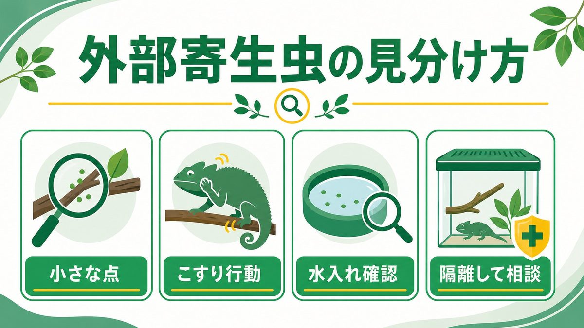 ① 外部寄生虫（ダニ・トリコモナス）の種類と見分け方の要点をまとめたカメレオン・爬虫類飼育インフォグラフィック