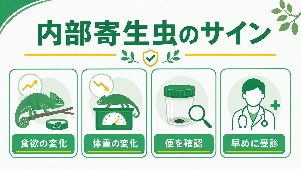 ② 内部寄生虫（回虫・鞭毛虫・コクシジウム）の症状の要点をまとめたカメレオン・爬虫類飼育インフォグラフィック