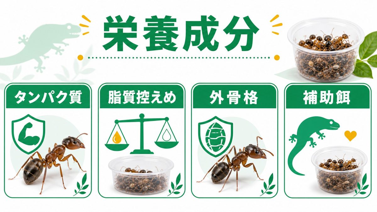 X線検査の費用目安と受診すべきタイミングの要点をまとめたカメレオン・爬虫類飼育インフォグラフィック
