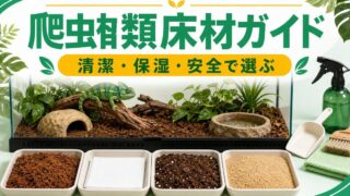爬虫類・カメレオン用床材完全ガイド！ヤシガラ・赤玉土・キッチンペーパーの種類別特徴・選び方・交換頻度を徹底解説の要点を伝えるカメレオン・爬虫類記事アイキャッチ画像