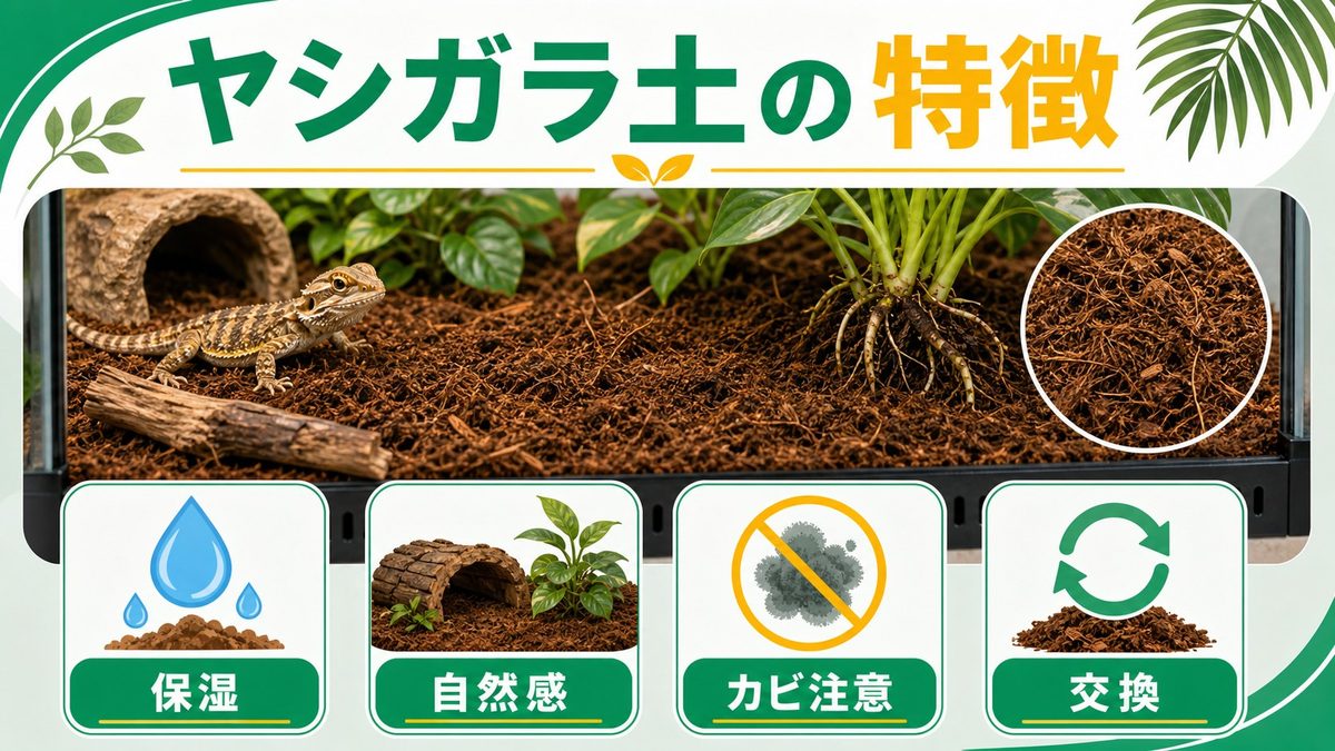 ②ヤシガラ土（保湿・自然系）の要点をまとめたカメレオン・爬虫類飼育インフォグラフィック